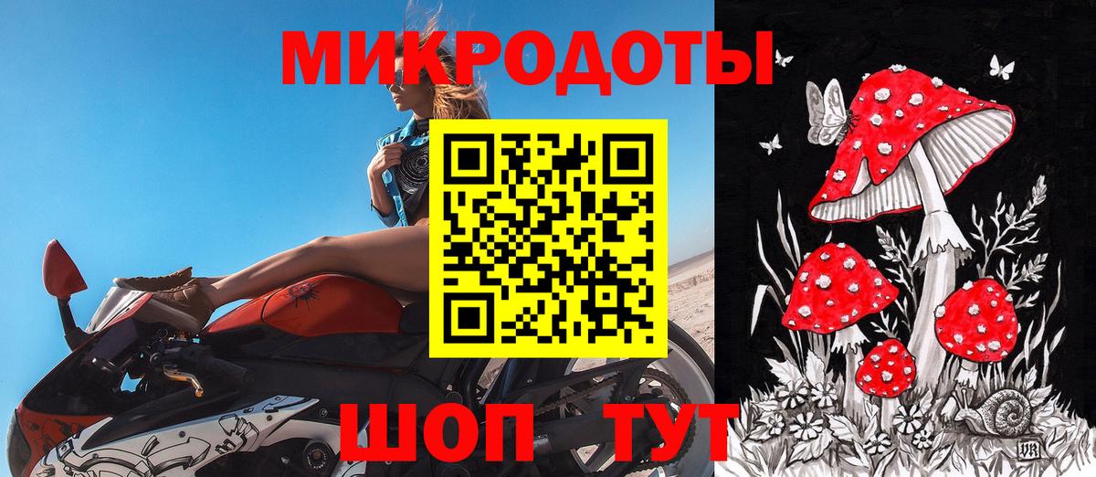 Галлюциногенные грибы мицелий Губкинский