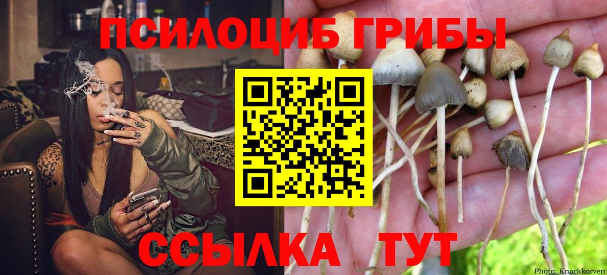 Галлюциногенные грибы мицелий Губкинский