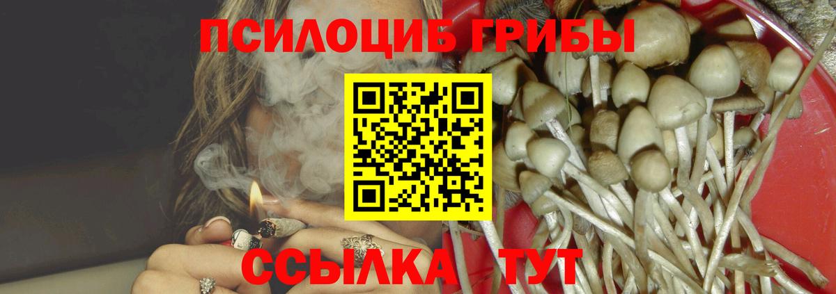 Галлюциногенные грибы прущие грибы  Псилоцибиновые грибы Psilocybine cubensis  Губкинский  Вход с VPN 